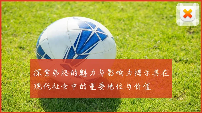 探索弗格的魅力与影响力揭示其在现代社会中的重要地位与价值