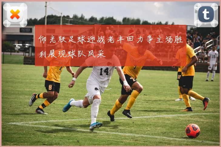 仰光联足球迎战老丰田力争主场胜利展现球队风采