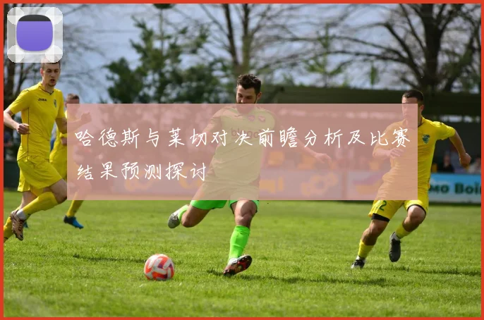 哈德斯与莱切对决前瞻分析及比赛结果预测探讨