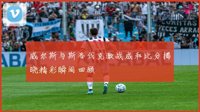 威尔斯与斯洛伐克激战成和比分揭晓精彩瞬间回顾