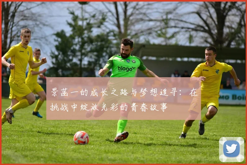 景菡一的成长之路与梦想追寻：在挑战中绽放光彩的青春故事